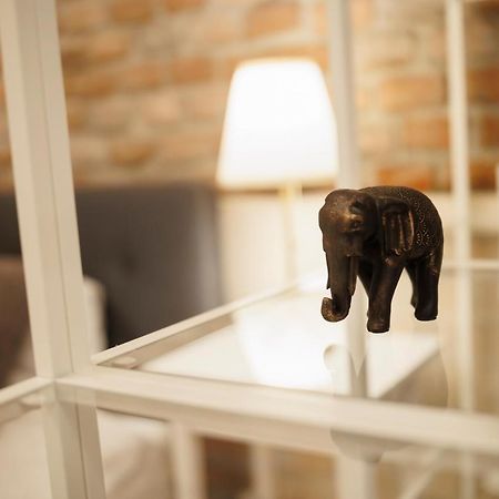 Jolie Flat In The Heart Of The City Timişoara Exterior foto
