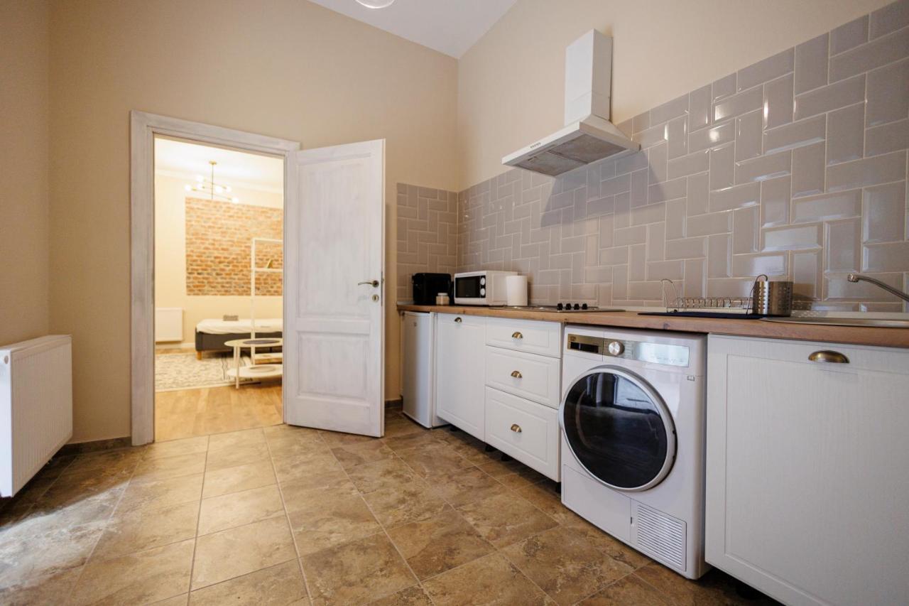 Jolie Flat In The Heart Of The City Timişoara Exterior foto
